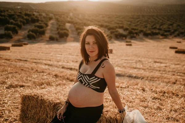 Ung gravid kvinna på ett vetefält vid solnedgången. konceptet graviditet session — Stockfoto