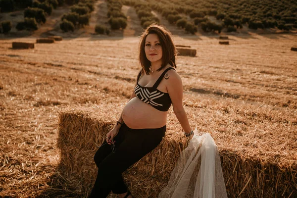 Ung gravid kvinna på ett vetefält vid solnedgången. konceptet graviditet session — Stockfoto