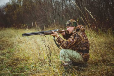 Sonbahar, vahşi ördekleri ve silahlı avcıları avlıyor..