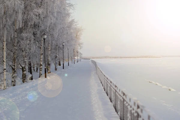 Parque de inverno, caminho coberto de neve, lanternas e uma cerca . — Fotografia de Stock