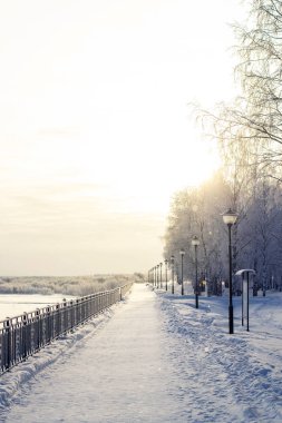 Kış parkı, karla kaplı patika, fenerler ve çit..