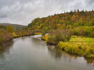 Margaree Nehri 'nde yağmurlu bir gün, Cape Breton Adası, Nova Scotia, Kanada