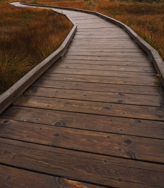 Podzimní barvy v dešti na Bog Trail, Cape Breton Highlands National Park, Nova Scotia, Kanada — Stock fotografie
