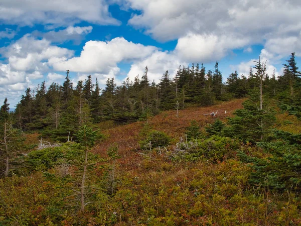 Prachtig kleurrijk uitzicht vanaf Skyline Trail in Cape Breton National Park, Nova Scotia, Canada — Stockfoto