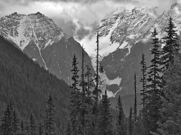 Paisaje del Parque Nacional Yoho, Canadá con montañas cubiertas de nieve y bosque en un día lluvioso — Foto de Stock