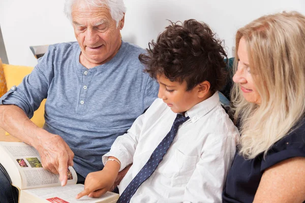 Amar Abuelo Abuela Con Nieto Leyendo Juntos Diccionario Sofá Niño —  Fotos de Stock