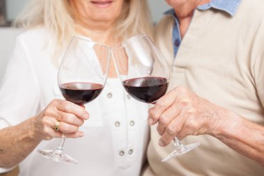 Son sınıflar iki kırmızı şarap kadehiyle kadeh kaldırıyor.