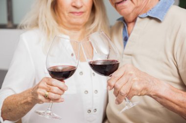 Son sınıflar iki kırmızı şarap kadehiyle kadeh kaldırıyor.