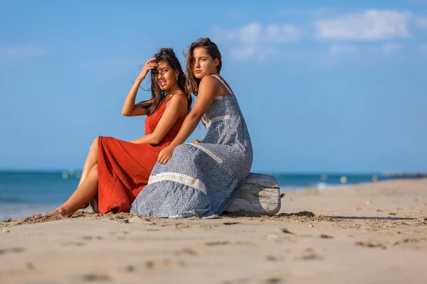 Πολλαπλότητα Των Δύο Φίλων Κορίτσια Κάθονται Driftwood Στην Παραλία Έννοια — Φωτογραφία Αρχείου
