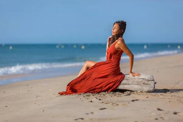 Mujer Joven Sentada Madera Deriva Playa Concepto Del Sueño Del —  Fotos de Stock