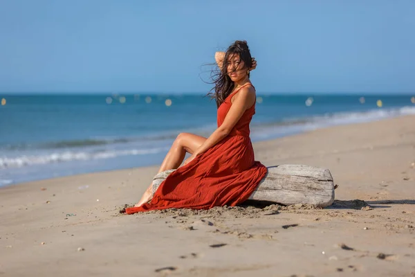 Jovem Mulher Sentada Madeira Deriva Praia Concepção Sonho Estilo Vida — Fotografia de Stock