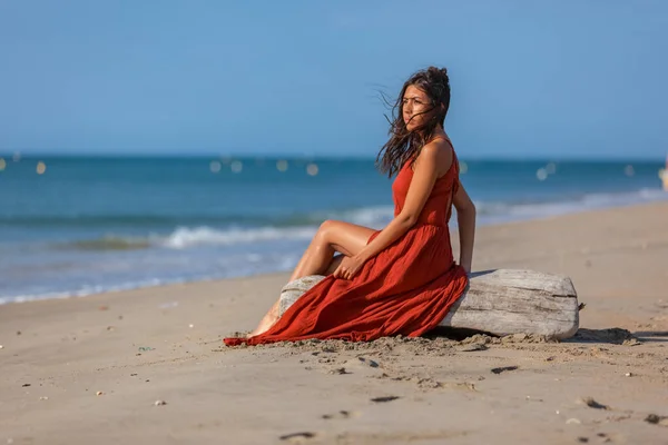 Jovem Mulher Sentada Madeira Deriva Praia Concepção Sonho Estilo Vida — Fotografia de Stock