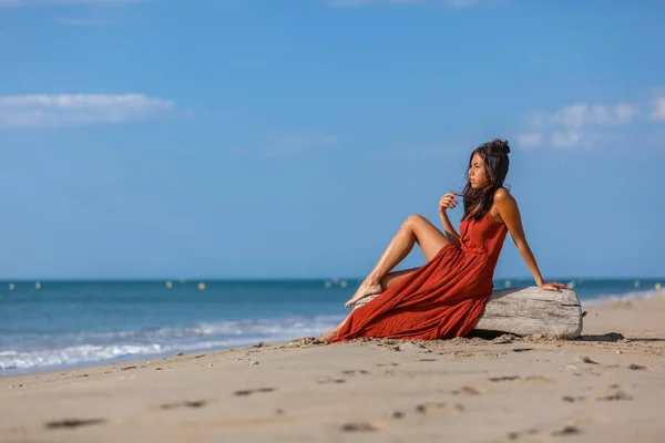 Jovem Mulher Sentada Madeira Deriva Praia Concepção Sonho Estilo Vida — Fotografia de Stock