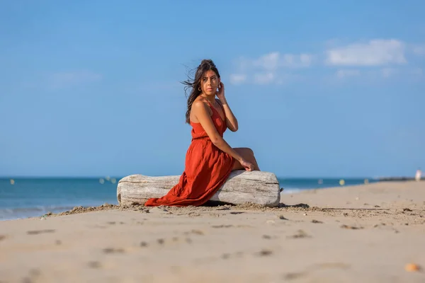 Mujer Joven Sentada Madera Deriva Playa Concepto Del Sueño Del —  Fotos de Stock