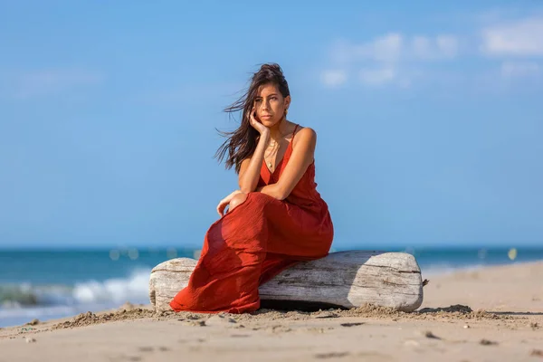 Jovem Mulher Sentada Madeira Deriva Praia Concepção Sonho Estilo Vida — Fotografia de Stock