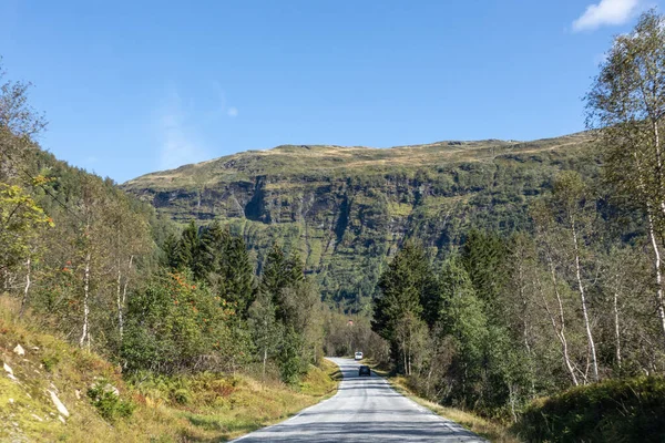 Conduisez Route Norvège Journée Ensoleillée Brûlure Verte Estivale Dans Les — Photo