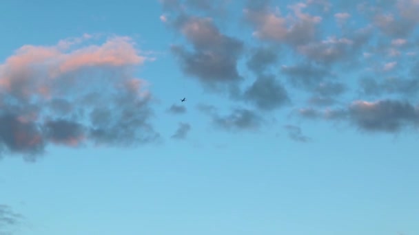 Small Plane Flying Colorful Sky Clouds View Cloudscape Sunset High — Stock Video