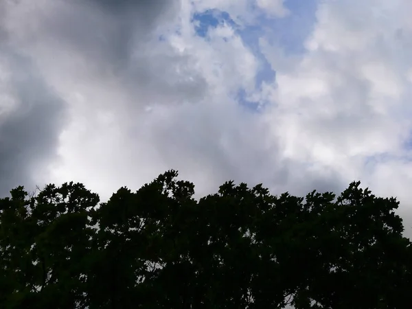 Awan Langit Pemandangan Dramatis Dengan Pohon Hijau Gelap Garis Latar — Stok Foto