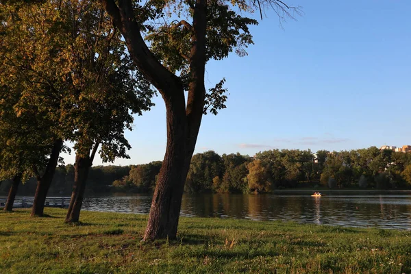 Parque Ciudad Minsk Bielorrusia Atardecer Árbol Orilla Del Río Con —  Fotos de Stock