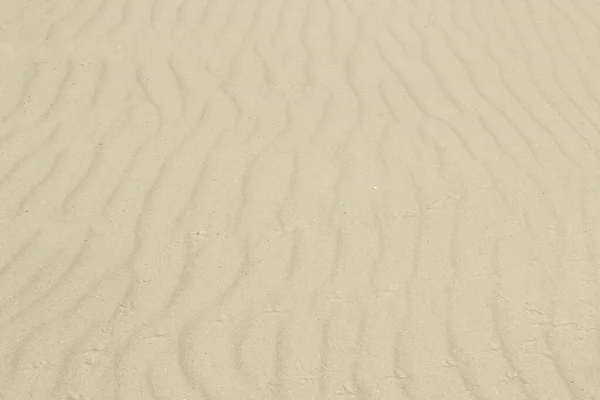 Sable Dunes Close Macro Nature Blanc Jaune Sable Texture Naturelle — Photo
