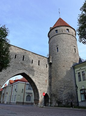Tallinn, Estonya - 27 Ağustos 2019: Ortaçağ taş kalesi eski binalar. Başkent Baltık Avrupa geleneksel kenti. Gezici keşifler