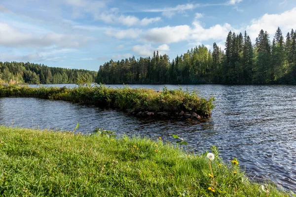 Sunny morning on finish river. Green grass and pine trees with bright blue water wild north nature landscape background. Vibrant colors and beautiful scene