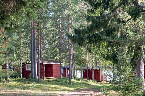 Casette Legno Rosso Finlandesi Tradizionali Pineta Verde Vicino Fiume Architettura — Foto Stock