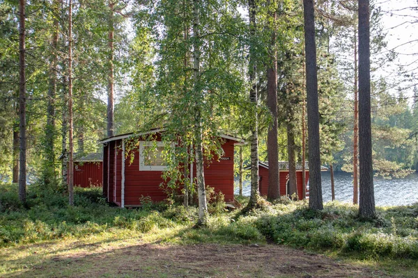 河流附近的青松林中 红木装饰着传统小木屋 北欧的农村建筑 阳光明媚的夏日野营中的木制房屋 — 图库照片
