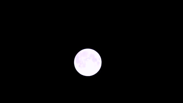 Grande pleine lune magique blanche brillante sur la surface du zoom devient claire, apparaît sur fond noir. Nuit périgée, lunaire la plus proche de la Terre vidéo 