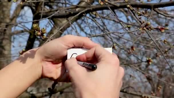 Escrevendo Covid19 Palavra Triste Cartão Branco Segurando Mãos Árvore Primavera — Vídeo de Stock