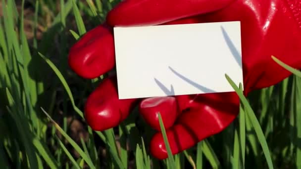 白色空卡 手握红手套 交在绿草花园生长的背景中 写空白便条阳光灿烂的春天园艺时间视频 — 图库视频影像