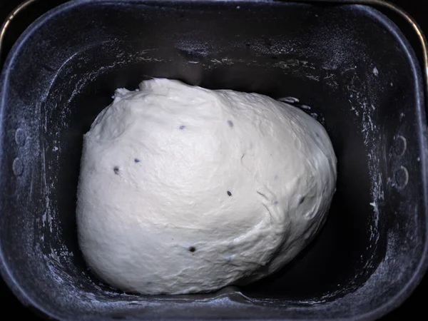 Ciasto Chlebowe Przyprawami Nasiona Kminku Kolendry Automacie Pieczenia Chleba Właśnie — Zdjęcie stockowe