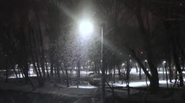 Beyaz kar taneleri kar taneleri, açık bir gecede, kış kenti parkına düşüyor. Kar temalı arka plan.