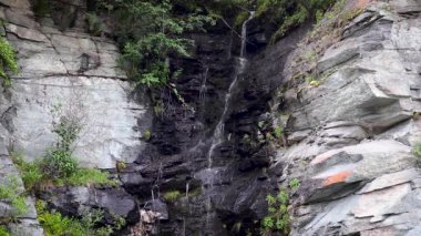 Yeşil çalılar ve yosunlarla siyah kayaların üzerine düşen küçük vahşi su döngüsü. Kuzey İskandinavya Norveç doğası harekete geçti. Taze huzurlu şelale ve doğal taşlar güzellik