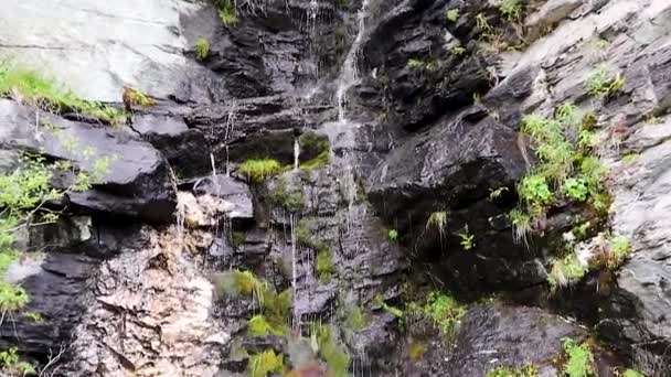 Petit ruisseau d'eau sauvage tombant sur des rochers noirs avec des buissons verts et de la mousse. scandinavie du Nord Norvège nature en mouvement. Cascade fraîche et paisible et pierres naturelles beauté 