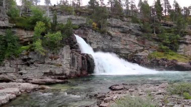 Güçlü beyaz su döngüsü yeşil çalılarla siyah kayaların üzerine düşüyor. Kuzey İskandinavya yazı Norveç doğası harekete geçti. Taze şelale ve doğal taşlar güzellik