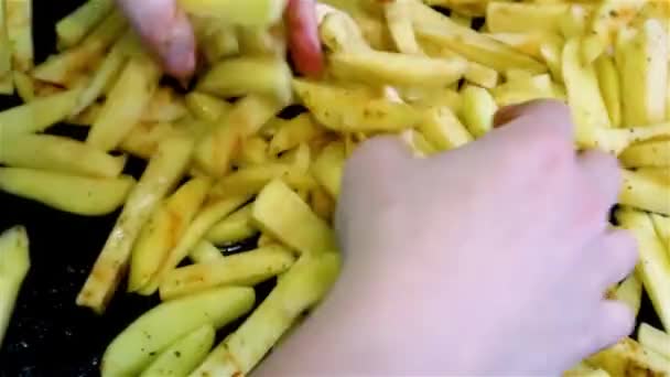 Mischen Von Gewürzen Mit Lang Geschnittenen Rohen Pommes Kartoffeln Scheiben — Stockvideo