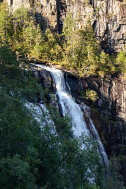 Skjervsfossen şelalesinin üst kısmı beyaz su manzaralı. Günbatımının renkli kuzey yazının doğal simgesi. Yeşil ağaçlarla akan sular uzun süre açığa çıkar.