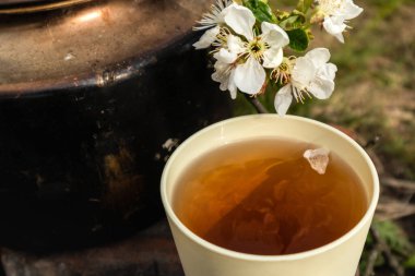 Bahar aromalı, yapraklı ve kurum eskitilmiş çaydanlıklı açık güneşli bir fincan. Kupanın üzerinde kiraz çiçeği beyaz çiçekleri. Hayat tarzı açık hava piknik havası.