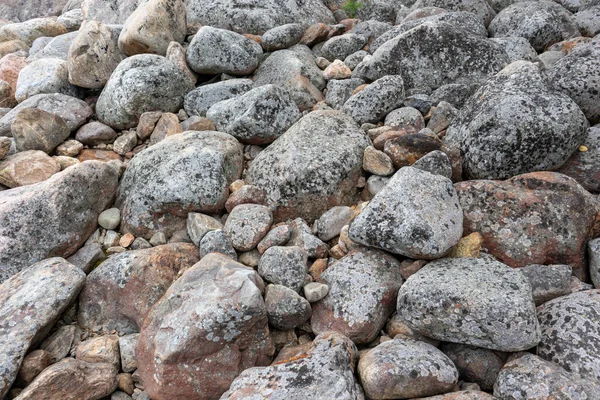 Grå Granit Stenar Naturliga Norra Stranden Närbild Grå Stenar Konsistens — Stockfoto