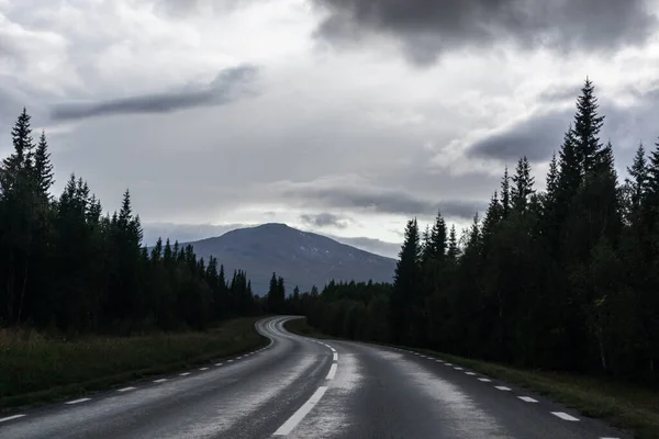 Δραματική Βόρεια Σκανδιναβική Διαδρομή Στον Αυτοκινητόδρομο Της Βόρειας Ευρώπης Δάσος — Φωτογραφία Αρχείου