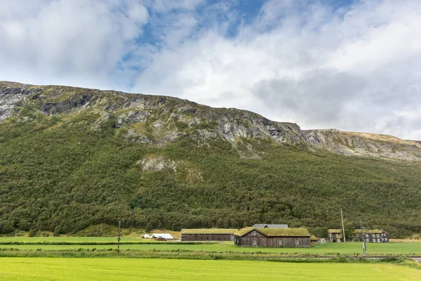 Houten Oude Traditionele Noordse Huizen Met Grasdaken Een Schilderachtig Landschap — Stockfoto