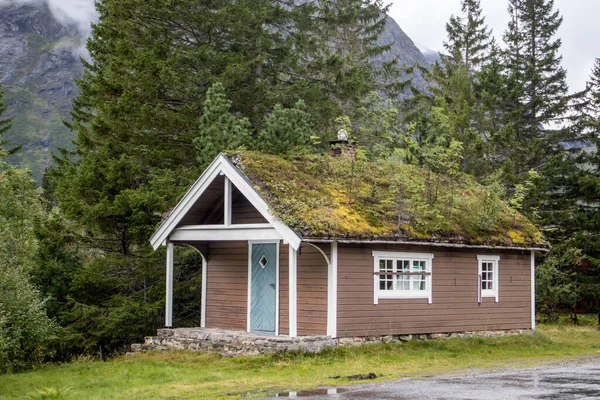 Çimen çatılı, yeşil çam ağaçları ve dağları olan geleneksel ahşap Norveç evi..