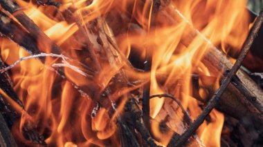 Yakından yanan dalların üzerinde sıcak kırmızı turuncu odun ateşi. Ekranda sıcak alevler