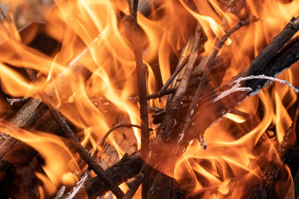 Chaud Rouge Orangé Feu Bois Sur Les Branches Brûlant Gros — Photo