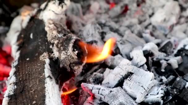 枝に小さな熱い赤オレンジ色の木の火で薪灰色の石炭を焼き閉じます 炭火で暖かい炎スローモーションビデオ — ストック動画