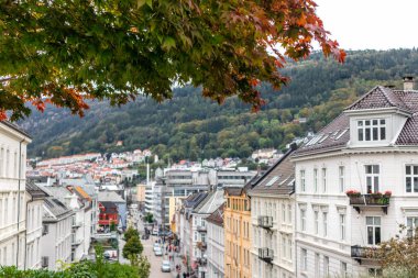 Bergen, Norveç sokaklarında yürüyorum. St. John Kilisesi 'nden eski şehre giden yeşil ve kırmızı yapraklı renkli sonbahar ağacı. Arka planda bulanık evler