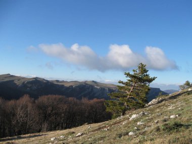 Dağların manzarası kayalık tepeler bahar sabahı gökyüzü çam ağacı Kırım sırt çantasıyla seyahat