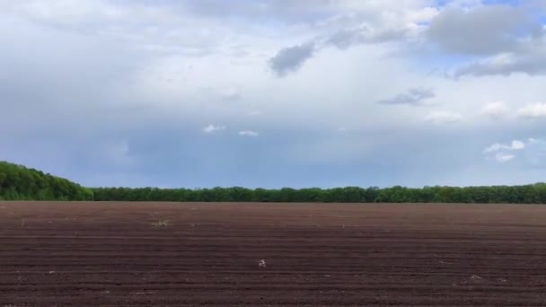 Driving Rural Road Passing Bare Brown Ground Spring Agriculture Field — Stock Video