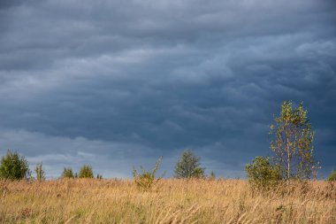 Gökyüzü gök gürültülü bulutlarla kaplı.